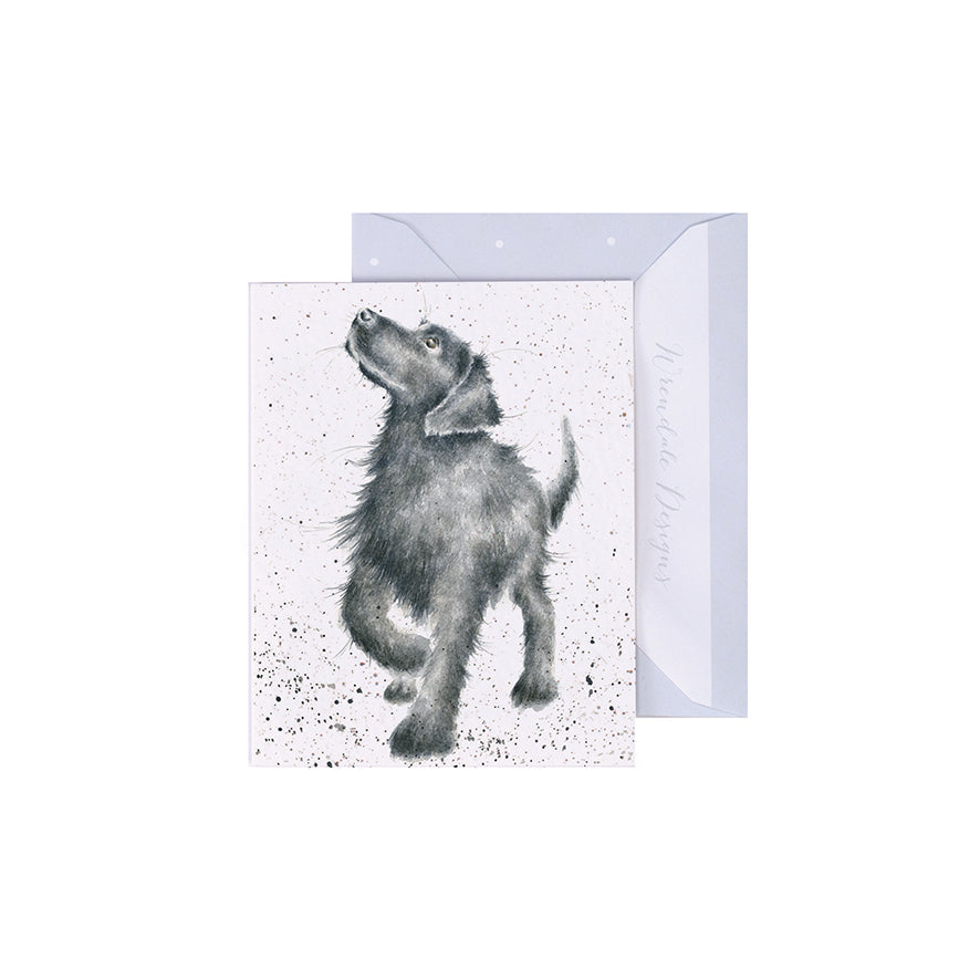 Wrendale Designs 'Walkies' Dog Mini Greetings Card