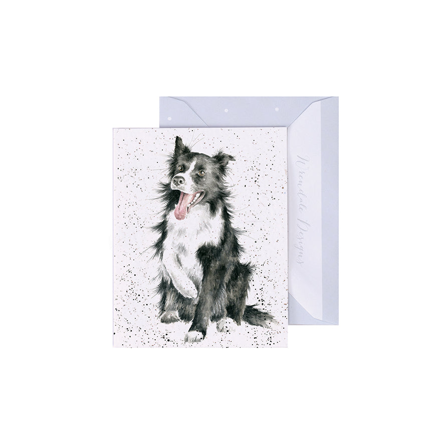 Wrendale Designs 'Shadow' Collie Dog Mini Greetings Card