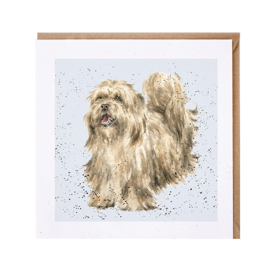Wrendale Lhasa Apso Dog Greetings Card