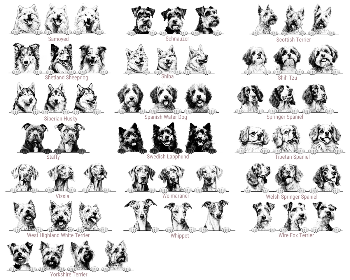 Illustrations of various dog breeds arranged in a grid.