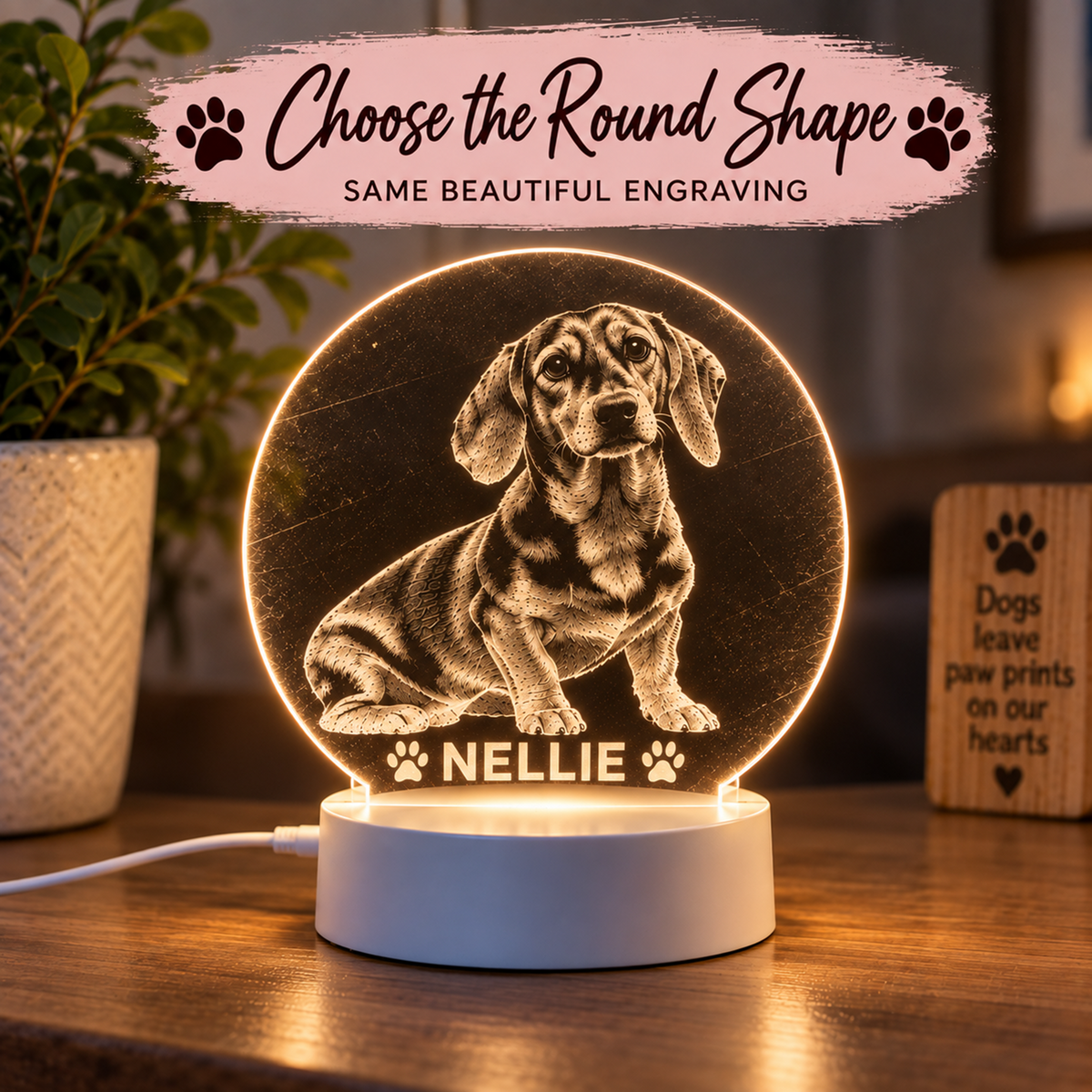 A round acrylic LED lamp glowing on a white base, featuring an engraved dachshund portrait and the name 'NELLIE' with paw prints. The lamp sits on a wooden table in a cozy room setting, with a plant on the left and a wooden sign on the right.