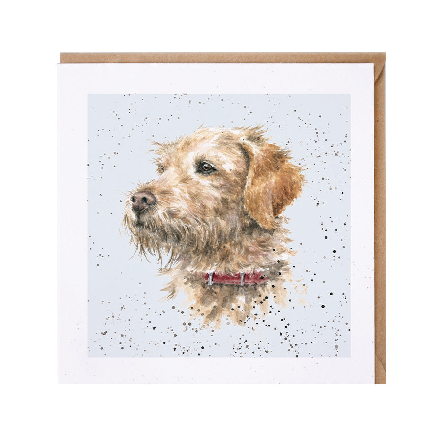 Wrendale Labradoodle Dog Greetings Card