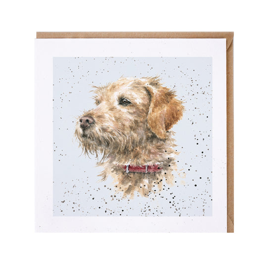 Wrendale Labradoodle Dog Greetings Card