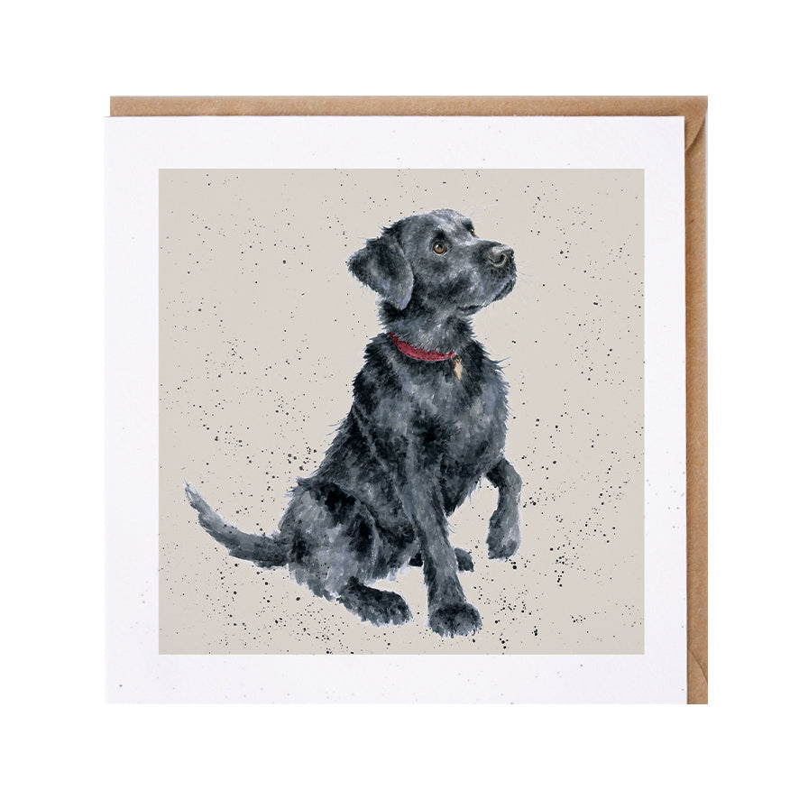 Wrendale Black Labrador Greetings Card