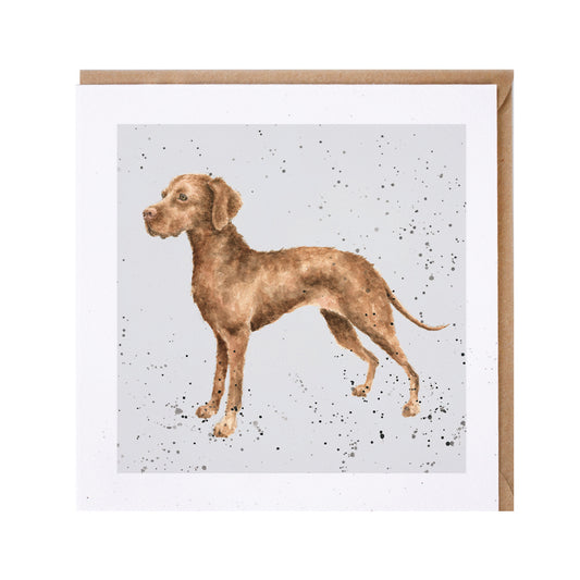 Wrendale Vizsla Dog Greetings Card