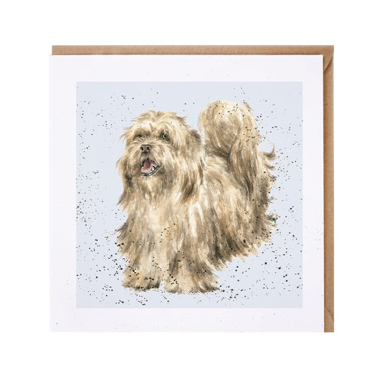 Wrendale Lhasa Apso Dog Greetings Card