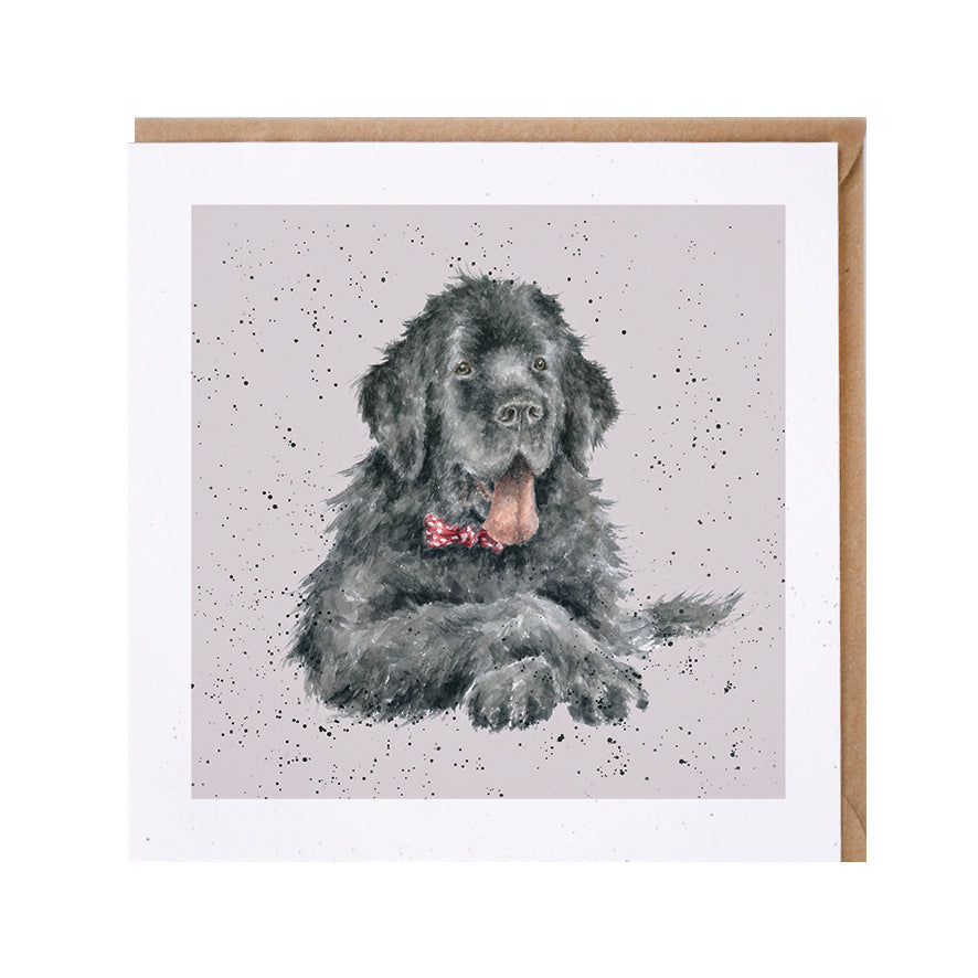 Wrendale Newfoundland Dog Greetings Card