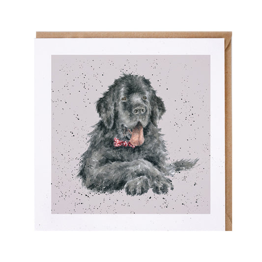 Wrendale Newfoundland Dog Greetings Card