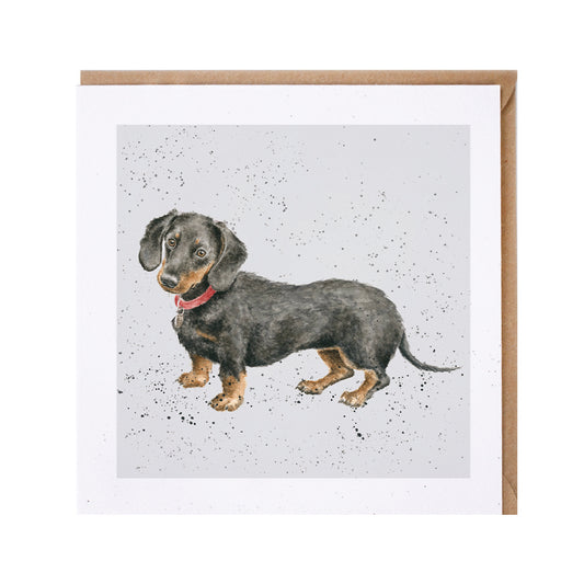 Wrendale Dachshund Dog Greetings Card