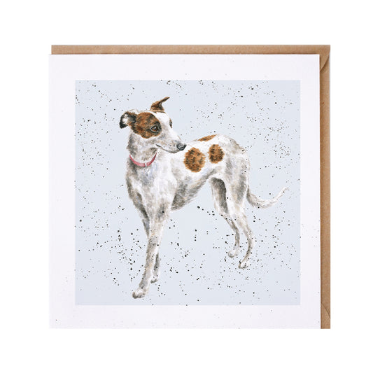 Wrendale Whippet Dog Greetings Card