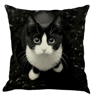 Black and white cat on a decorative pillow with a black background