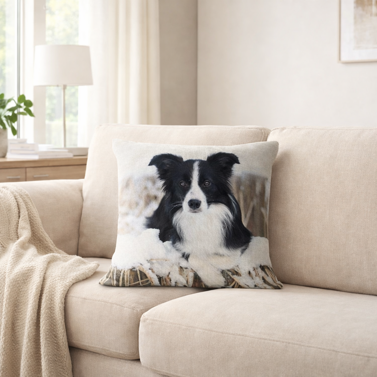 A square cushion cover featuring a black and white Border Collie dog, resting on a beige fabric sofa in a bright, modern living room.