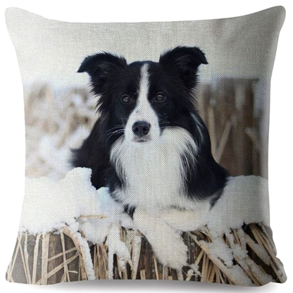 Cushion cover with a black and white Border Collie dog design on a snowy background