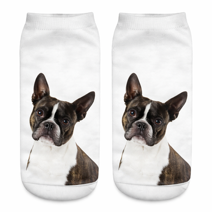 A pair of white ankle socks featuring a printed portrait of a Boston Terrier dog on the front, displayed against a plain white background.