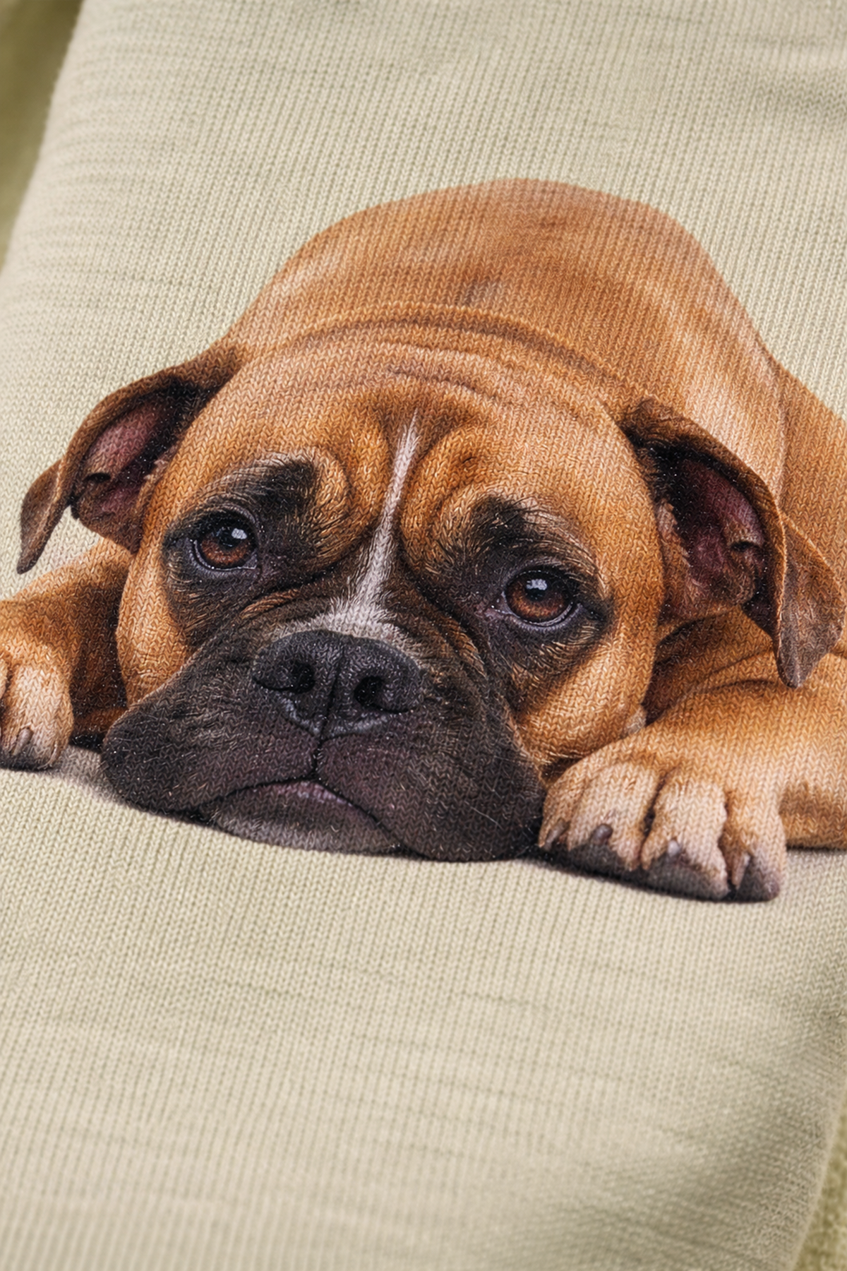 A close-up of a brown and black Boxer dog lying on a textured sage green sock e.