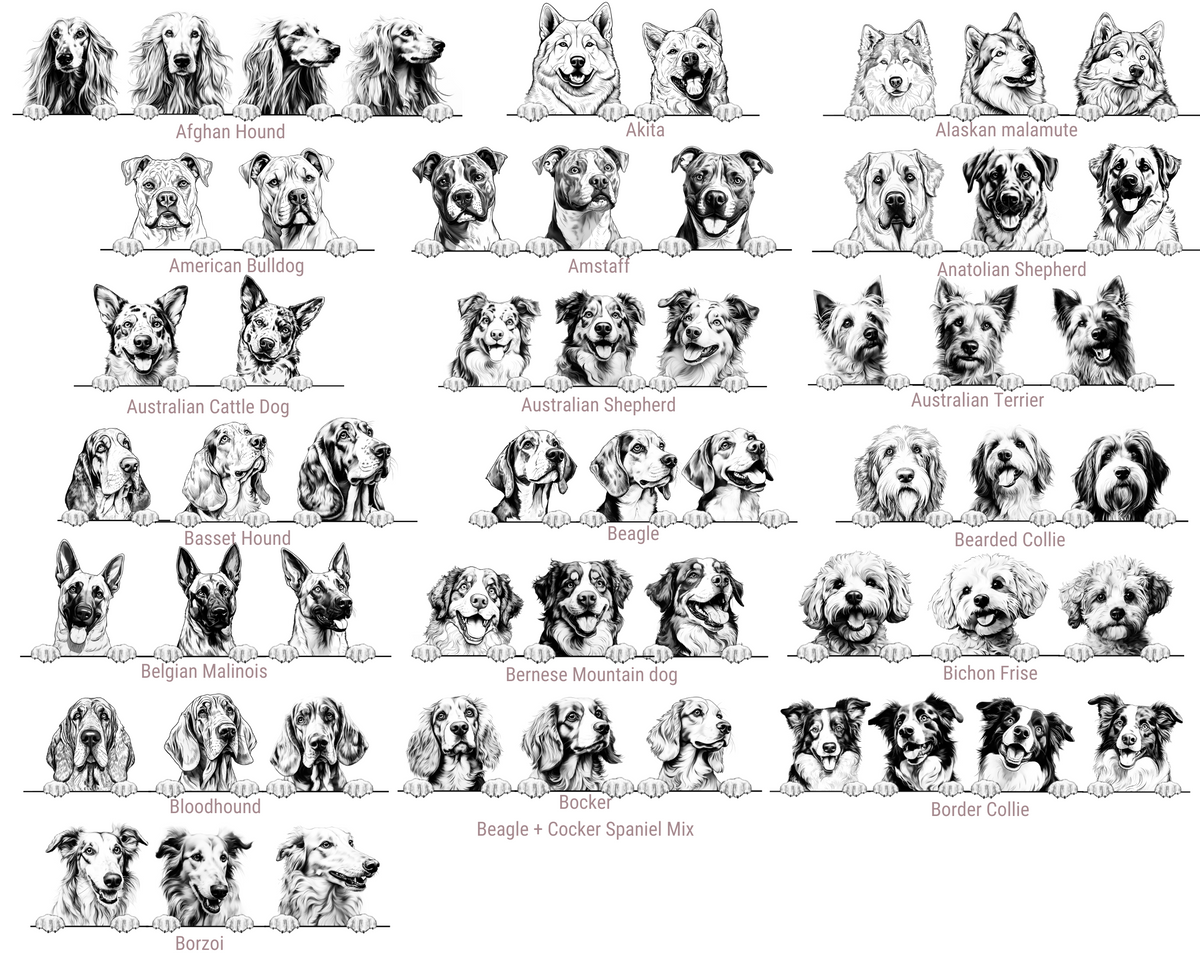 A black and white graphic sheet featuring multiple dog breeds arranged in rows, each with a small illustration of the dog and its name printed below. The sheet includes breeds such as Alaskan Malamute, Australian Cattle Dog, Beagle, Bulldog, Collie, and Beagle + Cocker Spaniel Mix.