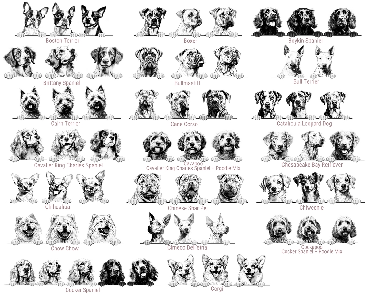 A black-and-white grid showing many different dog breeds, each with a small labeled portrait and name beneath it, on a plain white background.