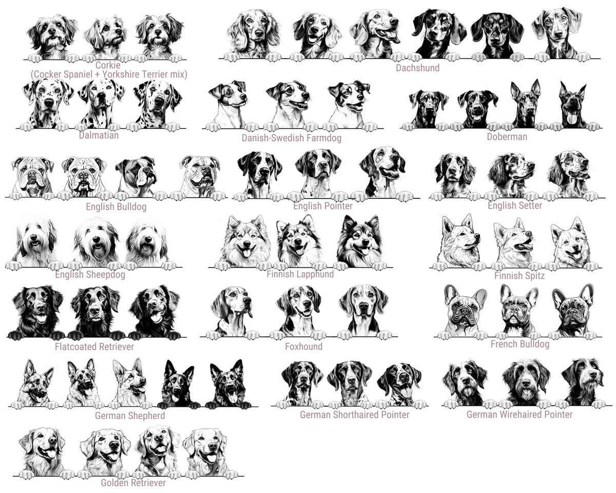 Illustrations of various dog breeds arranged in a grid on a white background.