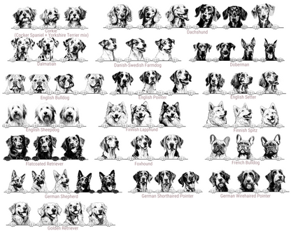 Illustrations of various dog breeds arranged in a grid on a white background.