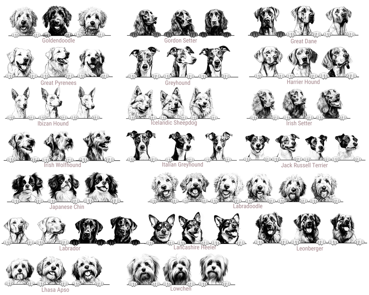 Grid of black and white dog illustrations with breeds labeled
