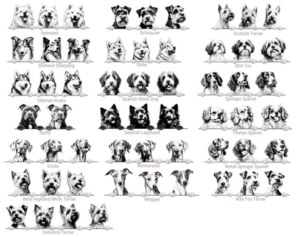 Illustrations of various dog breeds arranged in a grid.