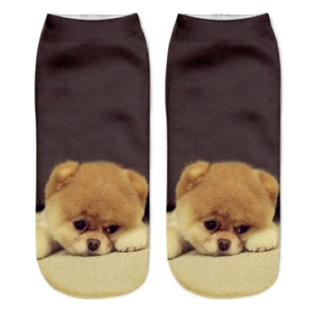 Socks with a cute Chow Chow dog design on a plain background