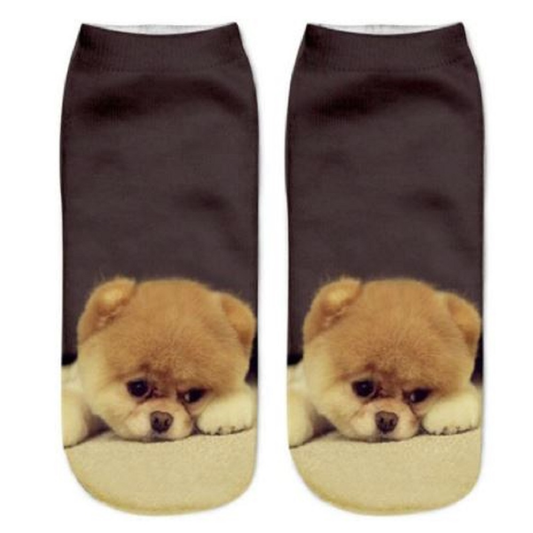 Socks with a cute Chow Chow dog design on a plain background