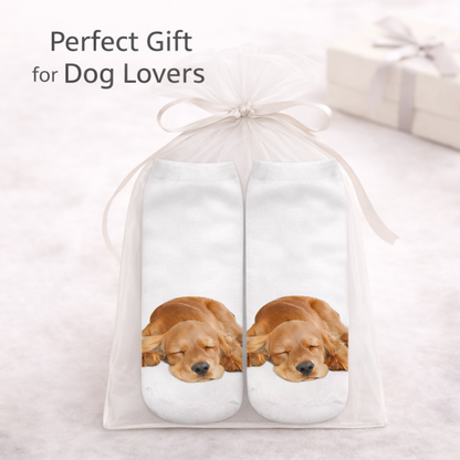A gift set containing a pair of white socks printed with a sleeping Cocker Spaniel dog, presented in a clear mesh gift bag tied with a white ribbon. The text 'Perfect Gift for Dog Lovers' is displayed at the top, with a blurred gift box in the background.