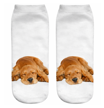Pair of socks with a sleeping Cocker Spaniel dog design on a white background