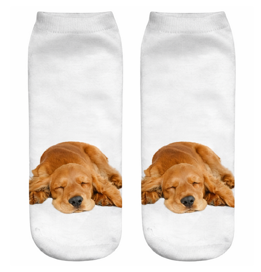 Pair of socks with a sleeping Cocker Spaniel dog design on a white background