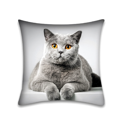 Decorative pillow with a grey cat on a white background