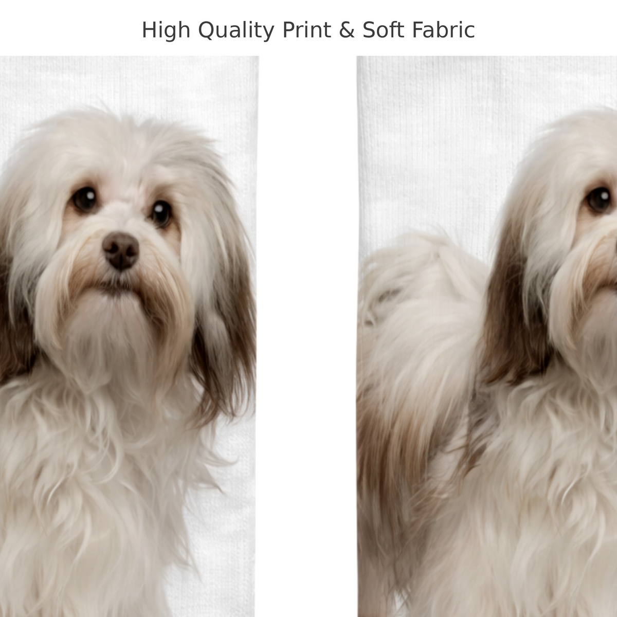 A split-screen comparison showing a small fluffy white Havanese dog printed on a sock, with the text 'High Quality Print & Soft Fabric' at the top. The left side shows the full front-facing dog print, and the right side shows a close-up of the printed fabric texture.