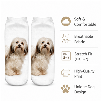 Two white ankle socks with printed images of a fluffy cream-colored Havanese dog, shown next to a feature list highlighting soft comfort, breathable fabric, stretch fit, high-quality print, and unique dog design.