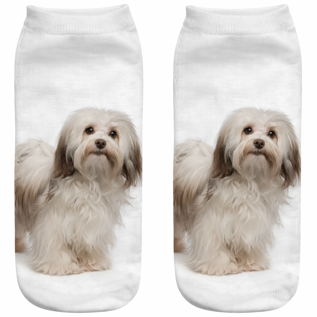White socks with a Havanese dog print on a white background