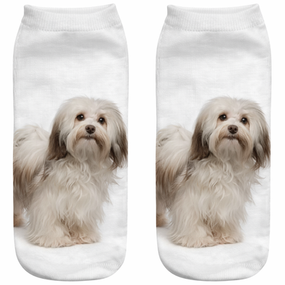 White socks with a Havanese dog print on a white background
