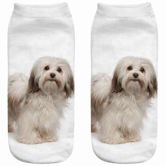 White socks with a Havanese dog print on a white background