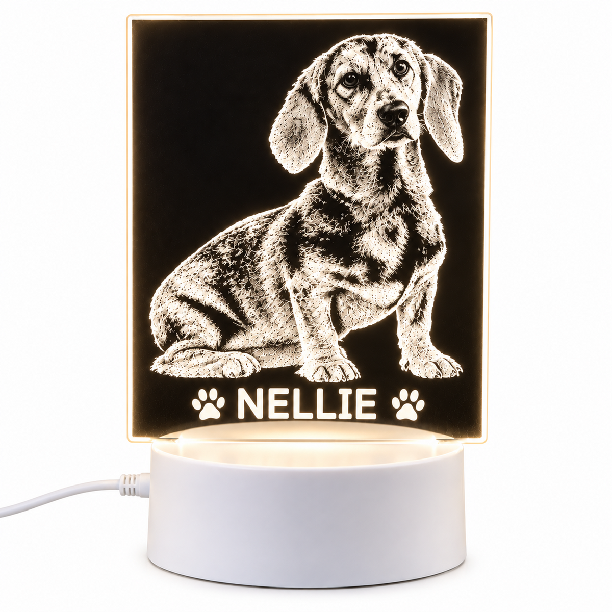 A personalised LED night light featuring a detailed black-and-white illustration of a dachshund with the name 'NELLIE' and paw prints, displayed on a white cylindrical base against a white background.