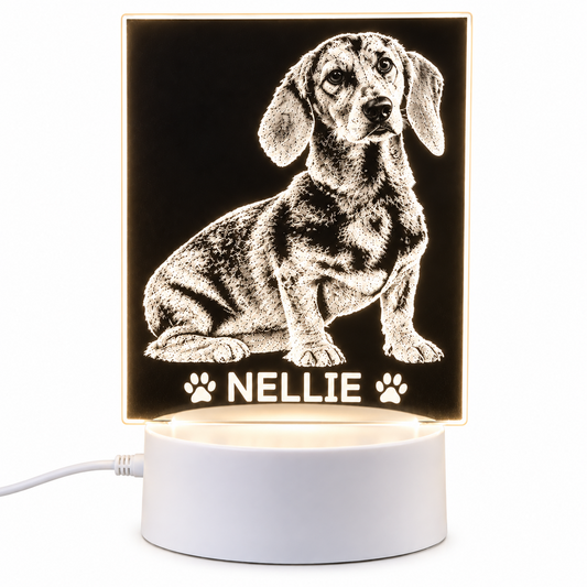 A personalised LED night light featuring a detailed black-and-white illustration of a dachshund with the name 'NELLIE' and paw prints, displayed on a white cylindrical base against a white background.