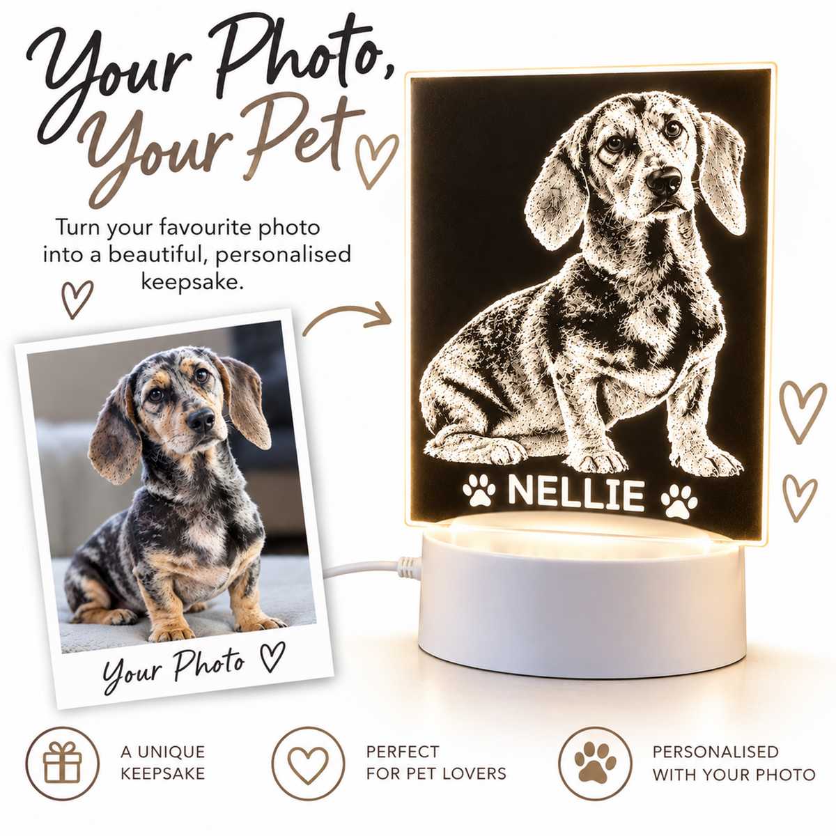 Personalised LED night light featuring a dachshund portrait with the name 'NELLIE' and paw prints, shown beside a sample photo of the dog and marketing text on a white background.