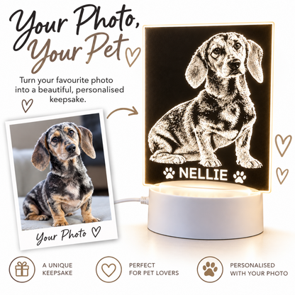 Personalised LED night light featuring a dachshund portrait with the name 'NELLIE' and paw prints, shown beside a sample photo of the dog and marketing text on a white background.