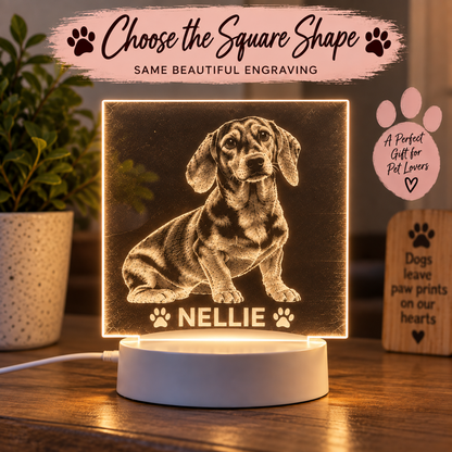 A square LED light box displaying a custom engraved dachshund portrait with the name 'NELLIE' and paw prints, illuminated on a wooden table with decorative background elements including a potted plant and a wooden sign.