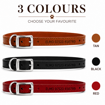 Three customisable leather dog collars shown on a white background with text reading '3 COLOURS' and color swatches labeled TAN, BLACK, and RED. Each collar has a silver buckle and engraved text including a paw print and placeholder name.