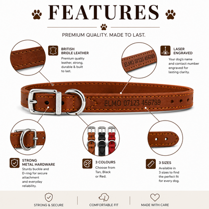 A brown leather dog collar with silver hardware, shown on a white infographic background with callout circles and text detailing product features such as British Bridle Leather, laser engraving, strong metal hardware, and available colors and sizes.