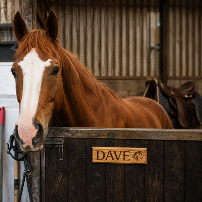 A chestnut horse with a white blaze stands in a stable behind a wooden stall door. A personalised wooden sign on the stall reads 'DAVE' with a horse icon.