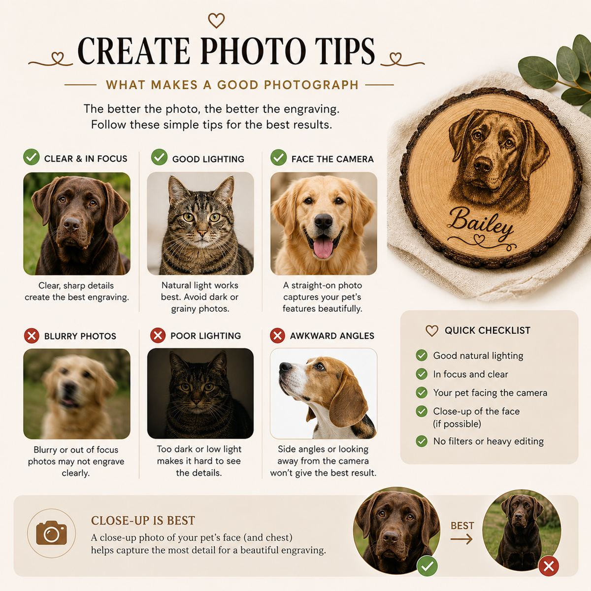 An infographic titled 'CREATE PHOTO TIPS' with six example dog portraits, a wood slice engraved with the name Bailey, and a checklist of photography tips on a beige background.