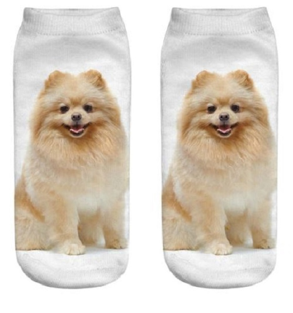 Two socks with a Pomeranian dog printed on them against a white background