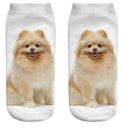 Two socks with a Pomeranian dog printed on them against a white background