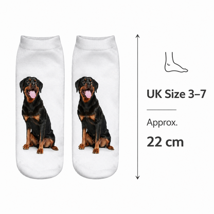 A pair of white ankle socks printed with a black and tan Rottweiler dog, shown on a white background with a size callout indicating UK size 3-7 and 22 cm length.