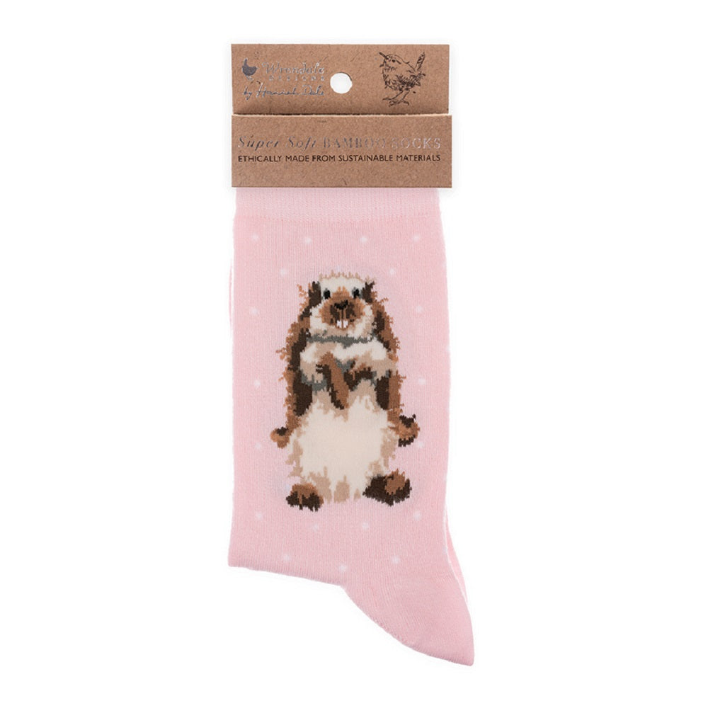 Pink sock with a hedgehog design and packaging on a white background