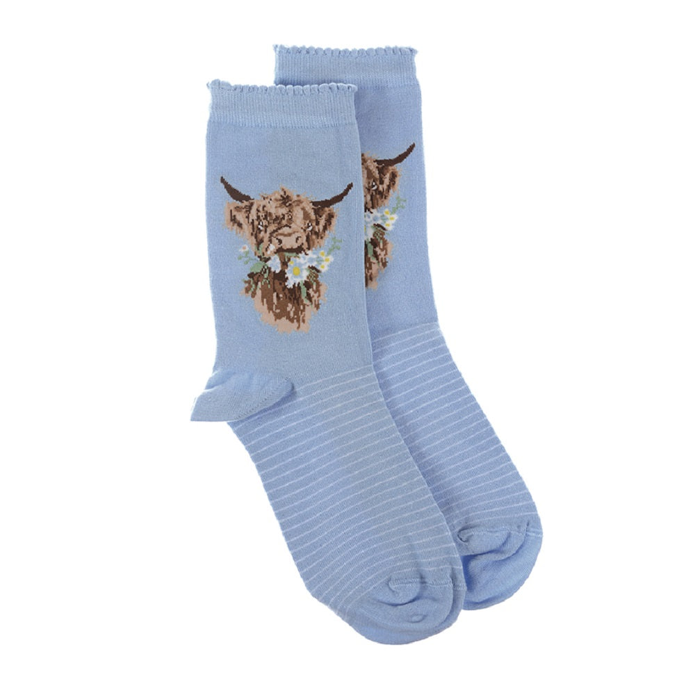 Pair of light blue socks with highland cow design on a white background
